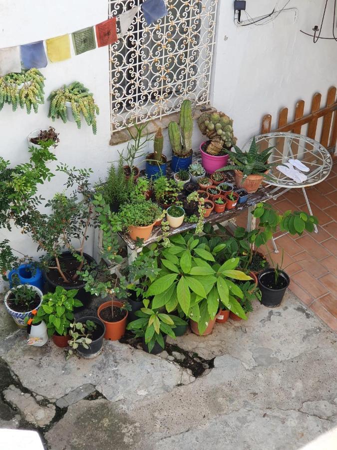 וחר דה לה פרונטרה Casa Vera מראה חיצוני תמונה